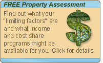 Free Property Assessment