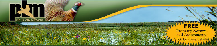 Prairie Land Management :: Land Management & Wildlife Enhancement