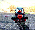 Trees & Planting