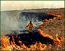 Contolled Burning