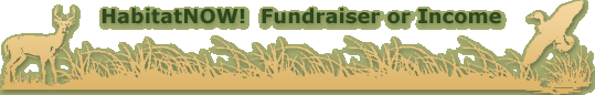 HabitatNOW! Fundraiser or Income